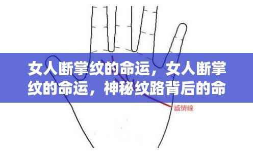 女人断掌纹的命运之谜,神秘纹路揭示命运走向