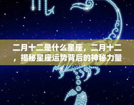 二月十二星座揭秘,探寻运势背后的神秘力量