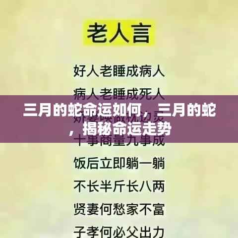 揭秘三月蛇的神秘命运走势