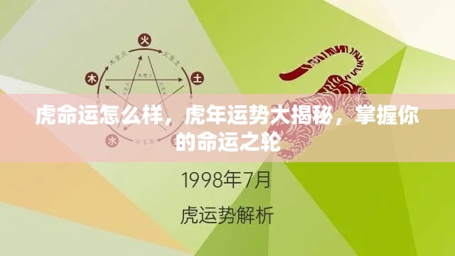虎年运势揭秘,掌握命运之轮,洞悉虎年运势走向