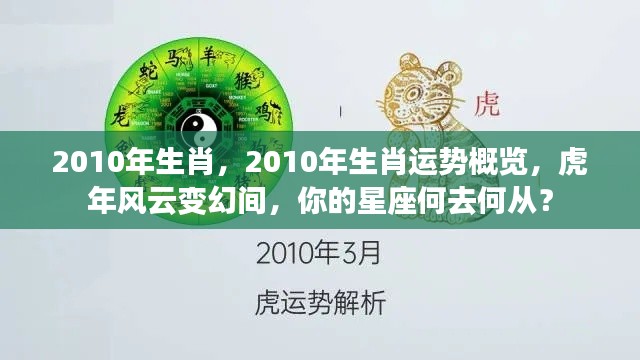 2010年虎年生肖运势概览,星座风云变幻指南