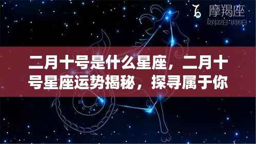 二月十号的星座运势揭秘与探寻属于你的星座奥秘