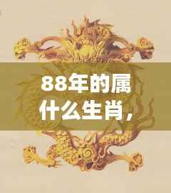 1988年属龙人的运势与生肖运势详解,天降瑞气,龙腾盛世