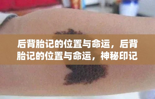 后背胎记的神秘密码,命运印记与命运揭秘之旅