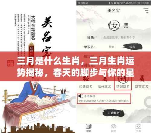三月生肖运势揭秘,春天的脚步与星座运势同行