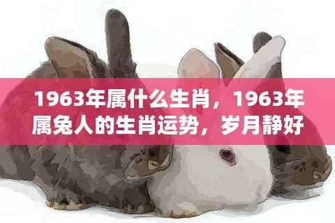 岁月静好,揭秘属兔人在1963年的生肖运势与机遇挑战并存的一年
