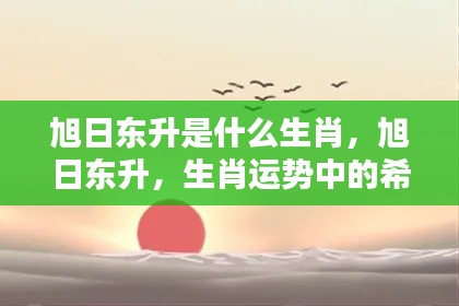 旭日东升生肖揭秘,探寻生肖运势中的希望之光