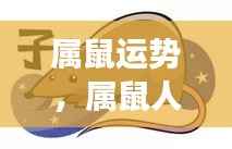 属鼠人的运势展望,把握机遇,迎接挑战,迎接美好未来!