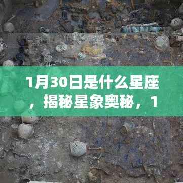 揭秘星象奥秘,1月30日的星座运势解读与性格特征分析