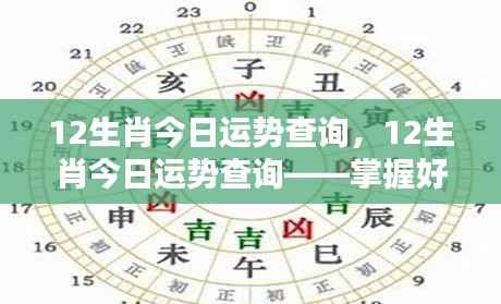 12生肖今日运势查询,12生肖今日运势查询——掌握好运,洞悉未来