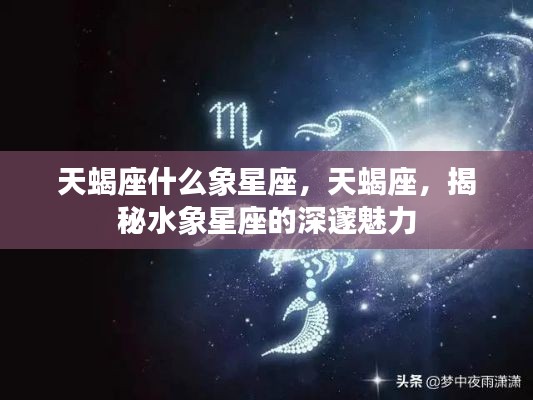 洵属可贵 第7页