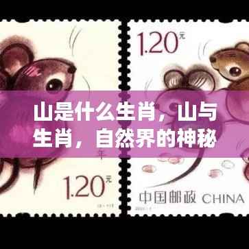 山与生肖的奇妙交汇,探索自然界的神秘联系