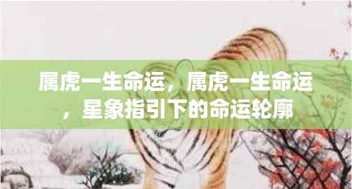 属虎一生命运,属虎一生命运,星象指引下的命运轮廓
