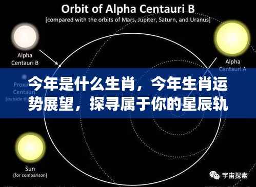 今年生肖运势展望,探寻属于你的星辰轨迹与生肖运势展望