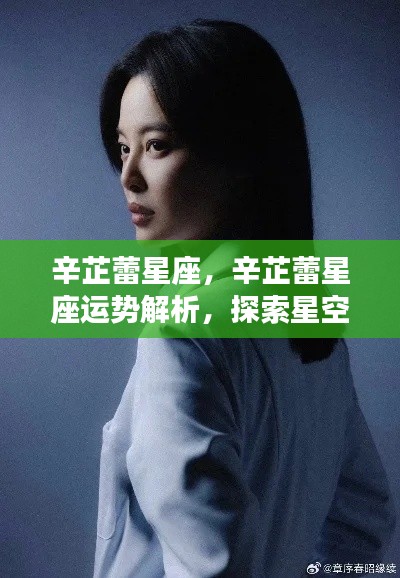辛芷蕾星座运势解析,探索机遇与挑战的星空之旅