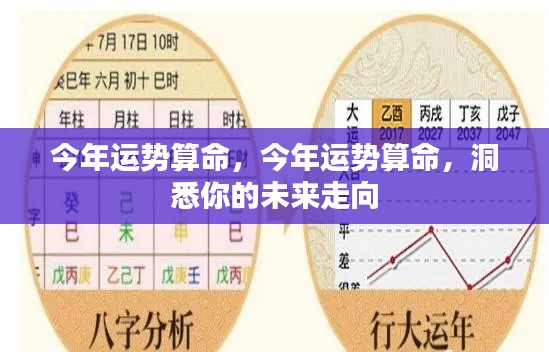 今年运势详解,洞悉未来走向的算命解析