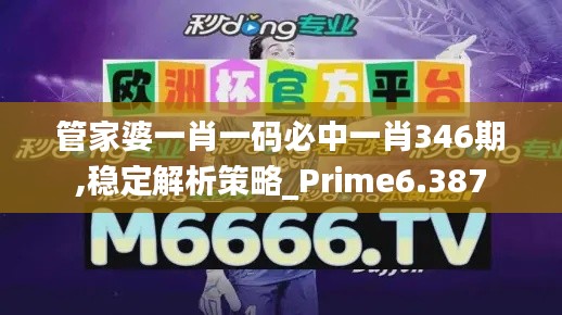 管家婆一肖一码必中一肖346期,稳定解析策略_Prime6.387