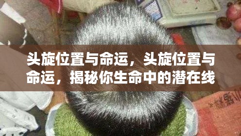 头旋位置揭示命运潜在线索,探寻生命奥秘的启示