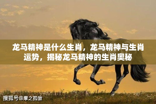 揭秘龙马精神所属生肖与运势奥秘