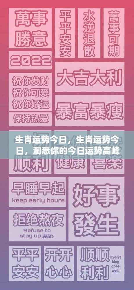 今日生肖运势详解,高峰与低谷洞悉