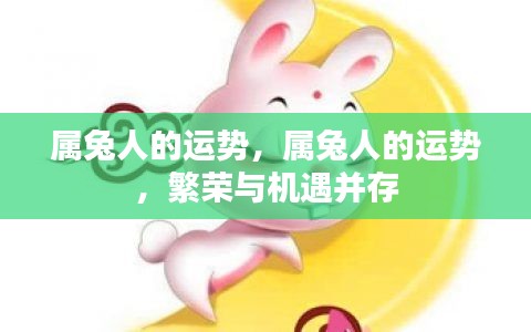 属兔人的繁荣与机遇并存,运势展望与机遇分析