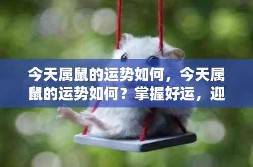 今日属鼠运势详解,把握好运,迎接美好一天!