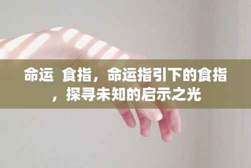 命运指引下的食指探寻启示之光之旅