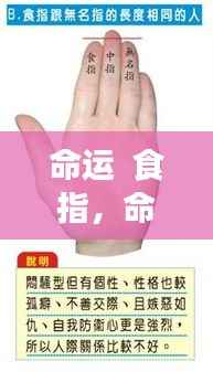 命运指引下的食指探寻启示之光之旅