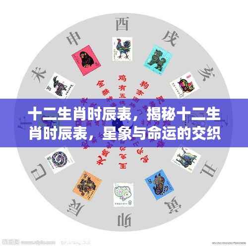 揭秘十二生肖时辰表,星象与命运的神秘交织点