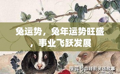 兔年运势大旺，事业飞跃发展与运势旺盛的兔子们