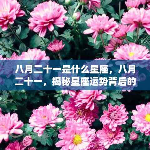 揭秘八月二十一星座运势背后的神秘力量,你属于哪个星座?