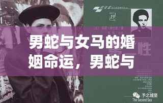 男蛇女马婚姻命运揭秘,星座情感交融与碰撞的旅程