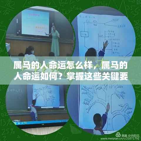 掌握关键要素,属马人的未来命运可期!