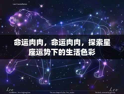 星座运势下的生活色彩探索,命运肉肉之旅