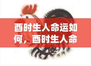 酉时生人命理解析,命运轨迹与特质探究