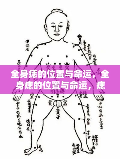 痣相揭秘，全身痣的位置与命运，洞悉人生运势走向