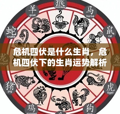 危机四伏下的生肖运势解析,揭秘生肖危机四伏的秘密