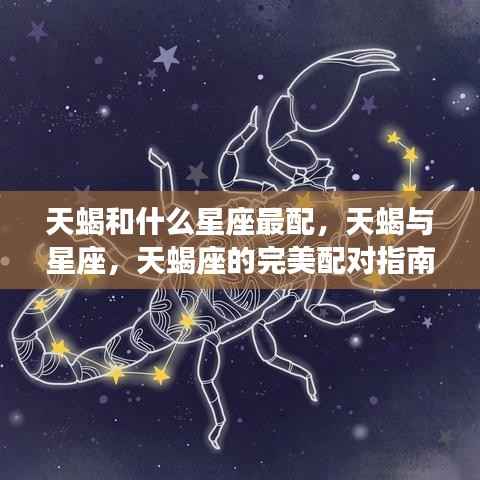 天蝎座的完美配对指南,与哪些星座最契合?