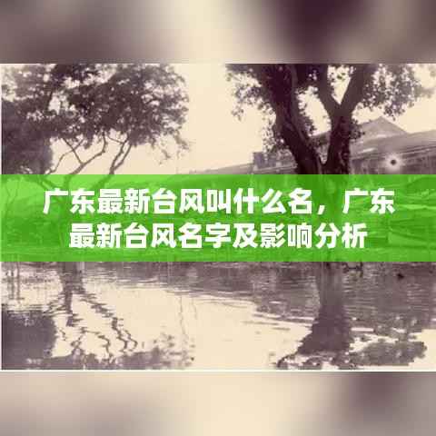 广东最新台风名字及影响分析介绍