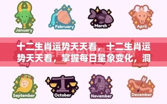 十二生肖每日运势解析,掌握星象变化,洞悉运势走向