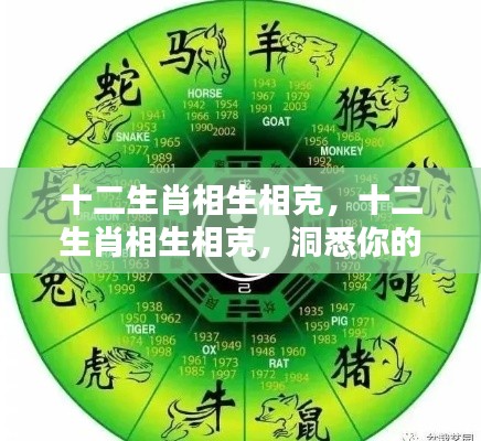 揭秘十二生肖相生相克奥秘,洞悉命运轮盘转动之道