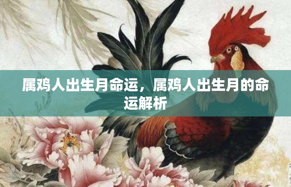 属鸡人出生月命运解析