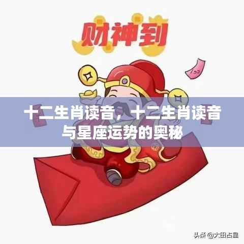 十二生肖读音及其与星座运势的奥秘探索