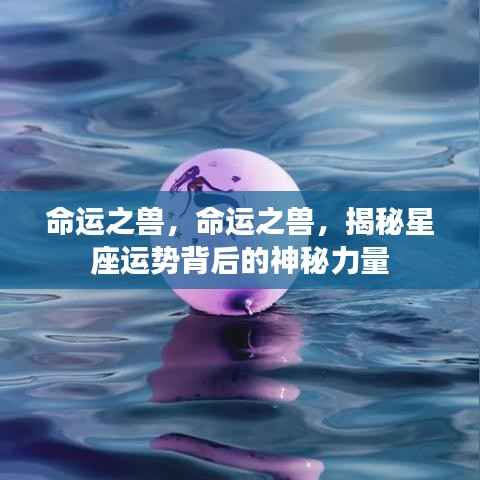 揭秘星座运势背后的神秘力量,命运之兽探秘!
