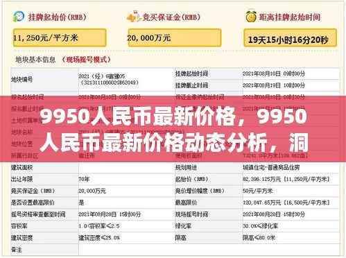洞悉9950人民币最新价格动态,货币走势与投资策略解析