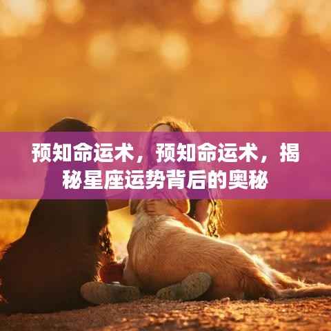 揭秘预知命运术,探寻星座运势背后的神秘力量