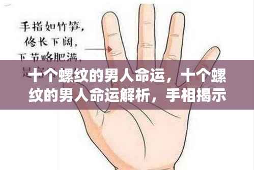 十个螺纹的男人命运解析,手相揭示未来走向的秘密