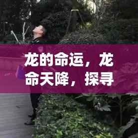 生肖龙，命运轨迹探寻与深层内涵解读