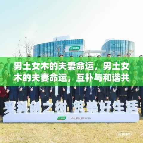 男土女木的夫妻命运,互补共创美好未来