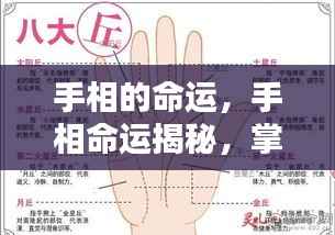 手相命运揭秘,掌纹里的生命奥秘探索